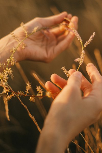 Hands touching grass stalks in warm evening light